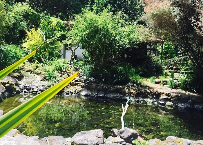 Moinho Do Comandante בית חווה Ribeiro Frio