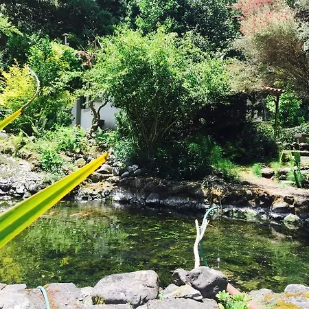 Moinho Do Comandante Séjour à la ferme Ribeiro Frio