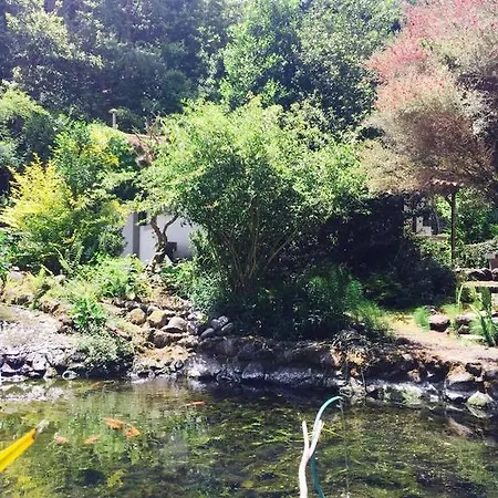 Séjour à la ferme Moinho Do Comandante Ribeiro Frio